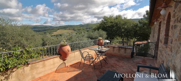 12 bedrooms Villa in Seggiano, Italy No. 57097 14