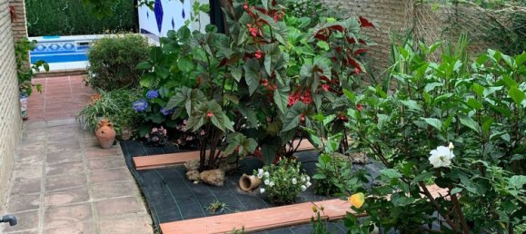 4 غرف نوم منزل في Andalusia, Spain رقم 169412 11