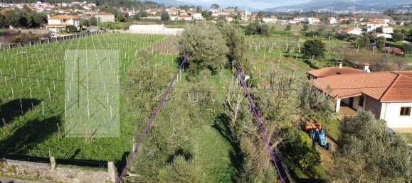 Grundstück in Ponte de Lima, Portugal 808m², Nr. 15572 2