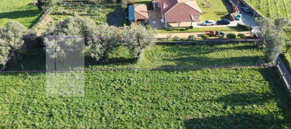 Grundstück in Ponte de Lima, Portugal 808m², Nr. 15572 10