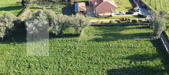 Grundstück in Ponte de Lima, Portugal 808m², Nr. 15572 9