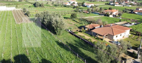 Grundstück in Ponte de Lima, Portugal 808m², Nr. 15572 4