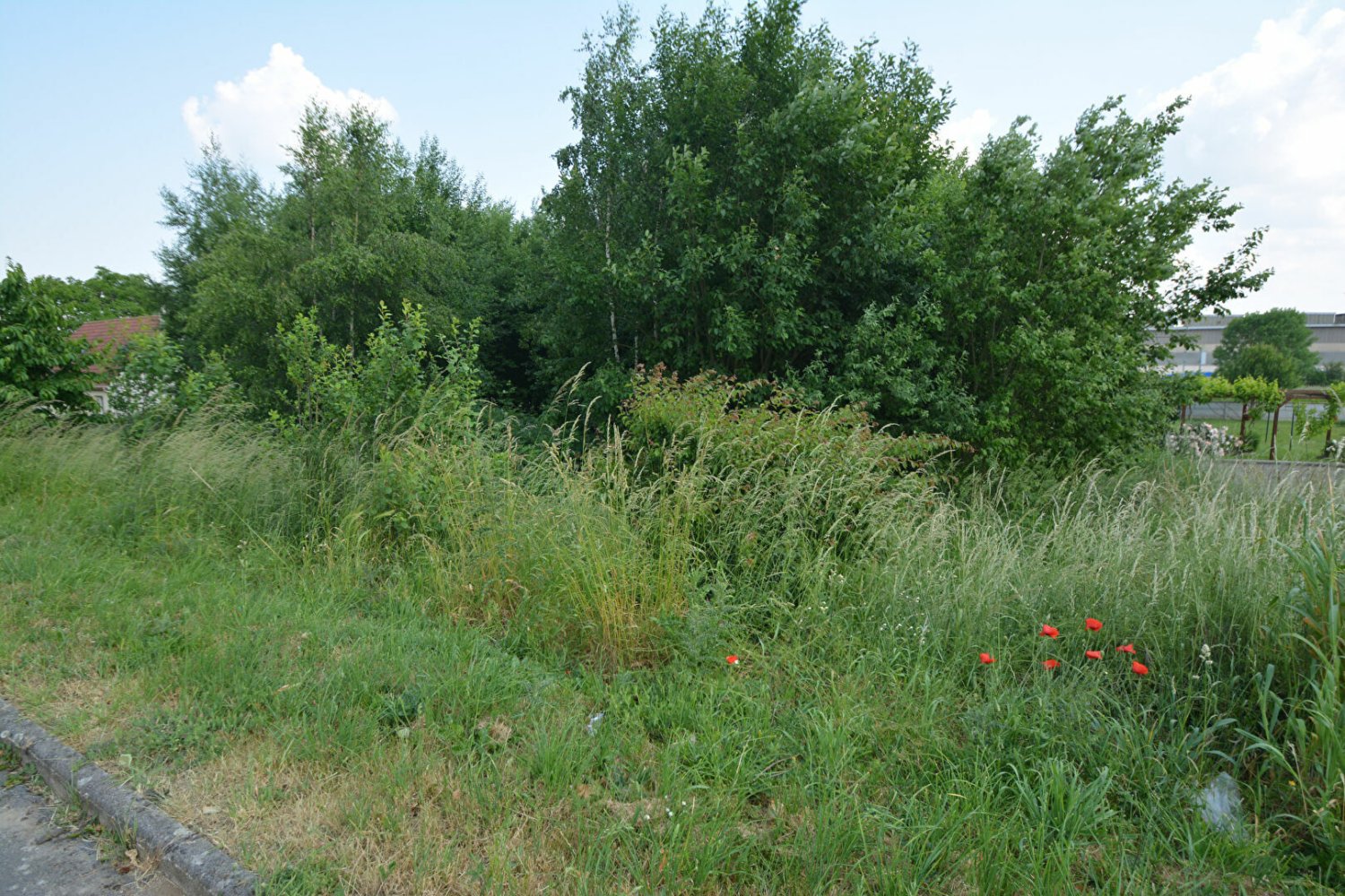 Grundstück in Beautor, France, Nr. 57717