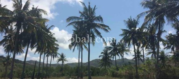 Земельный участок 20000м² в Западная Нуса-Тенгара, Индонезия № 4157 5