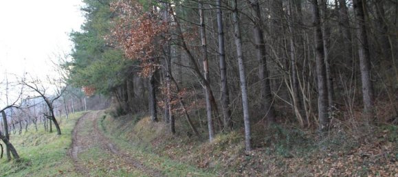 10 rooms House in Aulla, Italy No. 41403 11