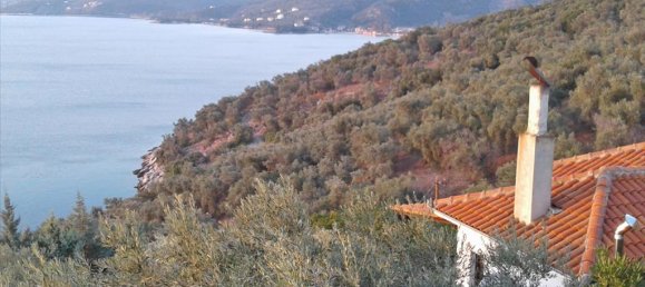 9 bedrooms Villa in Argalasti, Greece No. 6024 14