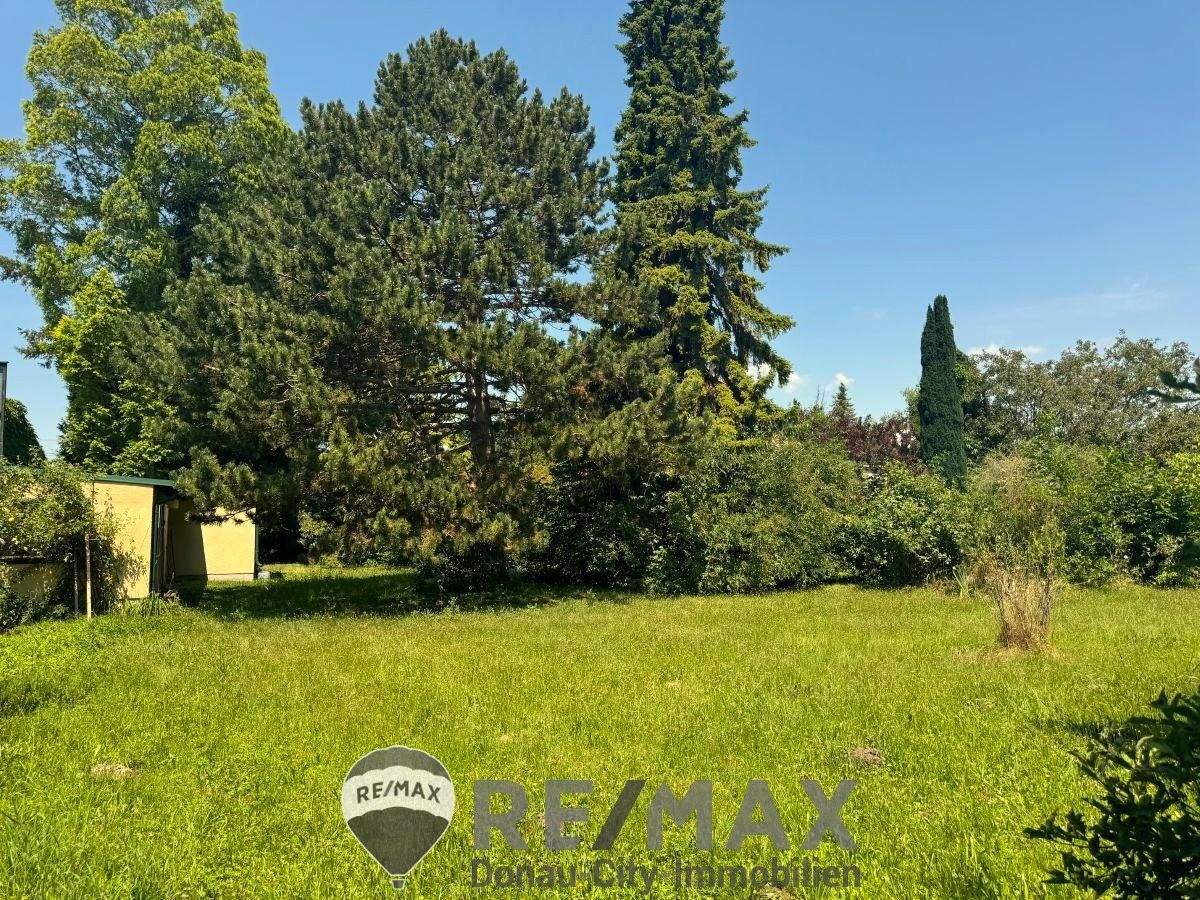 Terrain à Pottendorf, Austria No. 201351