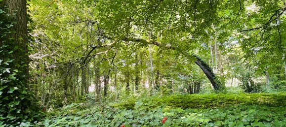 5 Schlafzimmer Schlösser in Marcilly-sur-Seine, France, Nr. 325562 14