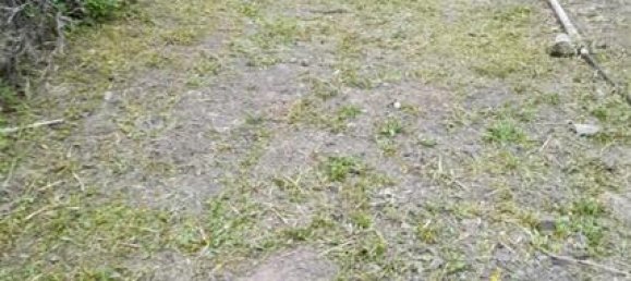 Terreno em Guia de Isora, Spain 7000 m² N.º 162440 3