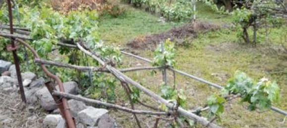 Terreno em Guia de Isora, Spain 7000 m² N.º 162440 4