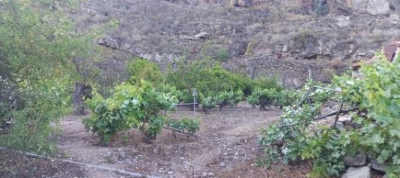 Terreno em Guia de Isora, Spain 7000 m² N.º 162440 8