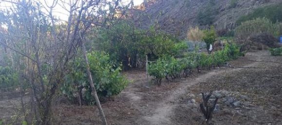 Terreno em Guia de Isora, Spain 7000 m² N.º 162440 6