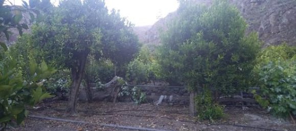 Terreno em Guia de Isora, Spain 7000 m² N.º 162440 9