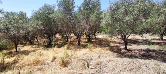 Дом с 5 комнатами в Казалангуида, Италия № 225334 8