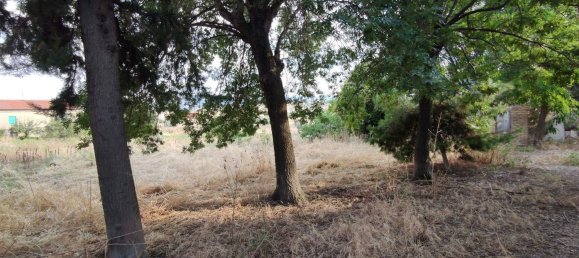 Дом с 5 комнатами в Казалангуида, Италия № 225334 37