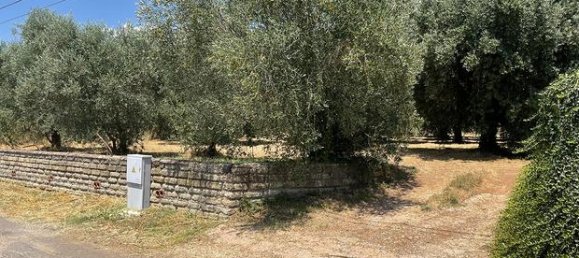 Terrain à Civitavecchia, Italy 4000m² No. 258373 2