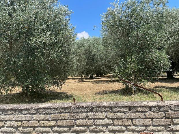 Terrain à Civitavecchia, Italy 4000m² No. 258373