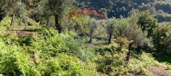 1000m² Land in Vila Verde, Portugal No. 34445 10