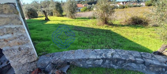 3 Schlafzimmer Haus in Torres Novas, Portugal, Nr. 14536 22