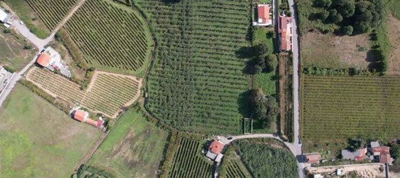 Casa T4 em Felgueiras, Portugal N.º 48116 18