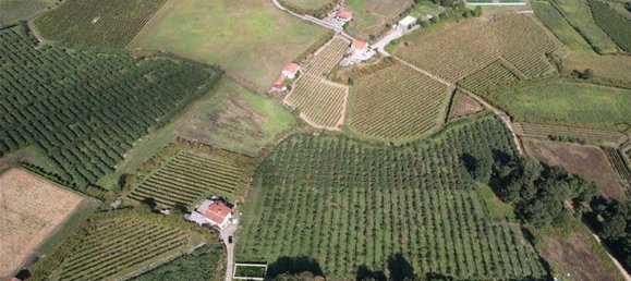 Casa T4 em Felgueiras, Portugal N.º 48116 19