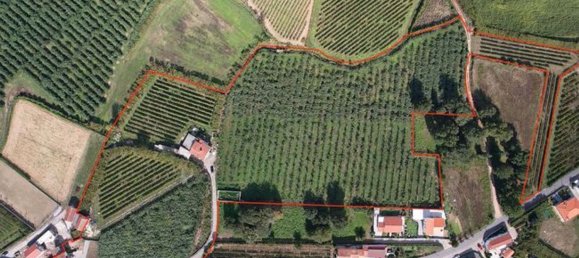 Casa T4 em Felgueiras, Portugal N.º 48116 16