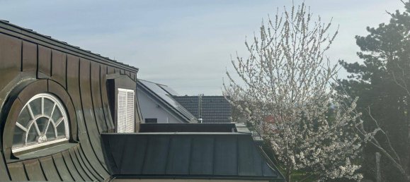 6غرفة فيلا في Maria Enzersdorf, Austria رقم 145178 17