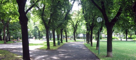 80m² Office in Meidling, Austria No. 222647 6