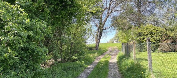  Land in Garsten, Austria No. 126844 3