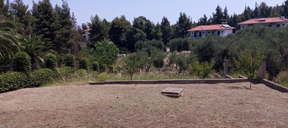 7 غرف نوم عقار تجاري في Chalkidiki, Greece رقم 2802 20