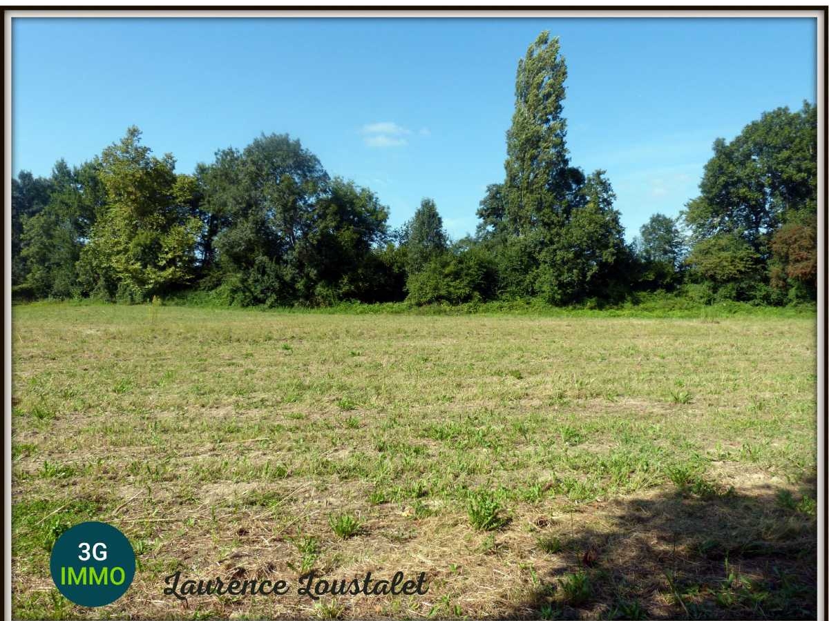  Land in Sendets, France No. 234819