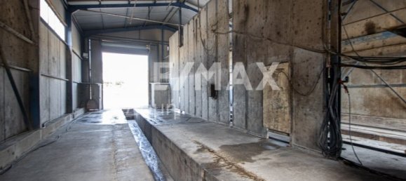 2 Schlafzimmer Gebäude in Magnesia, Greece, Nr. 89984 13