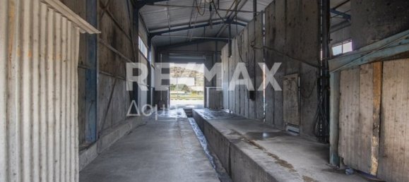 2 Schlafzimmer Gebäude in Magnesia, Greece, Nr. 89984 10