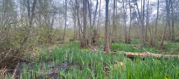 2 bedrooms House in Eure-et-Loir, France No. 92212 5