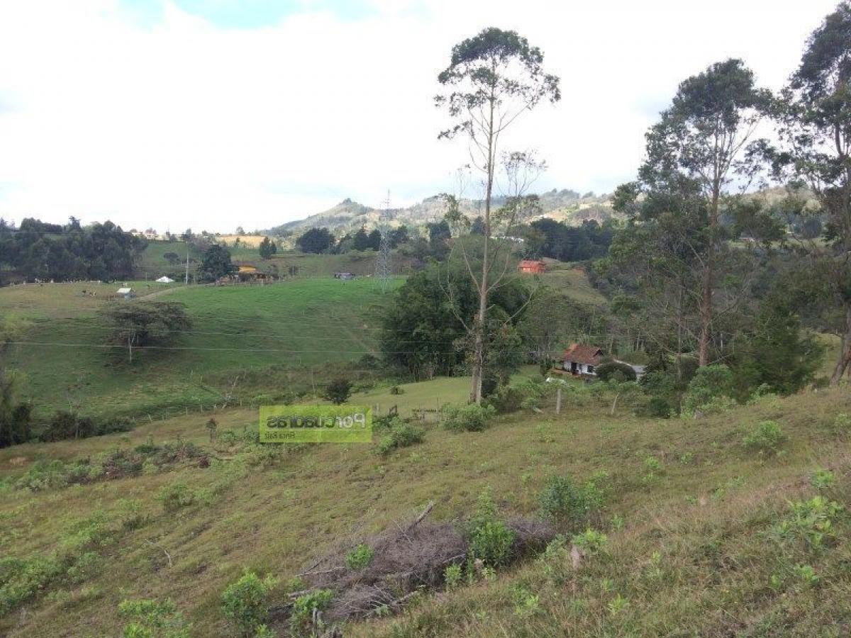 Terrain à Antioquia, Colombia No. 561