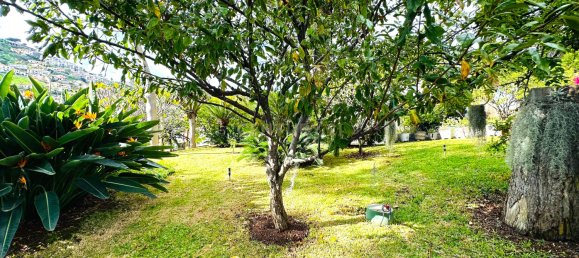 6 bedrooms House in Funchal, Portugal No. 84777 14