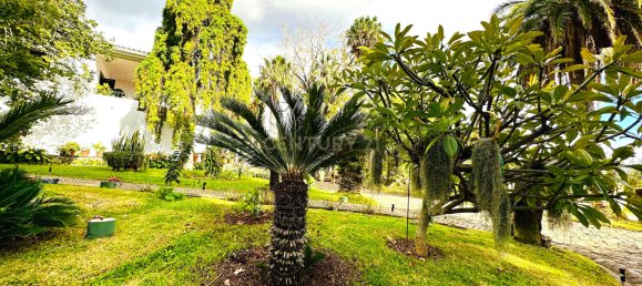 6 bedrooms House in Funchal, Portugal No. 84777 12