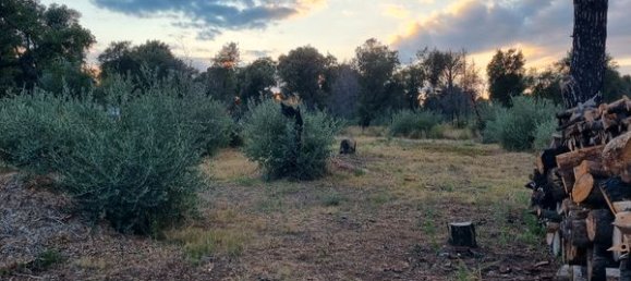  Land in Sorede, France No. 316126 2