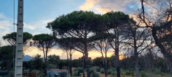  Land in Sorede, France No. 316126 3