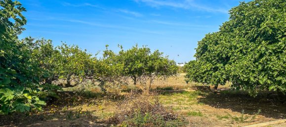 Земельный участок в Аликанте, Испания № 160978 23