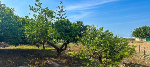 Земельный участок в Аликанте, Испания № 160978 18