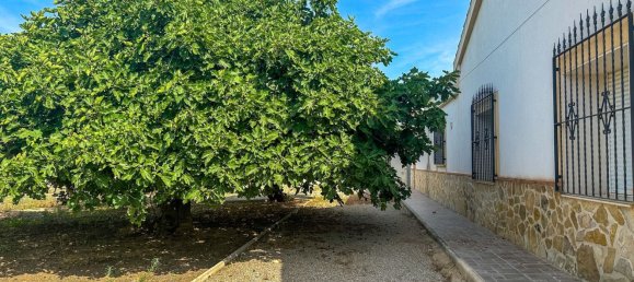 Земельный участок в Аликанте, Испания № 160978 22