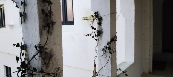 10 chambres Maison à Costa da Caparica, Portugal No. 117935 35