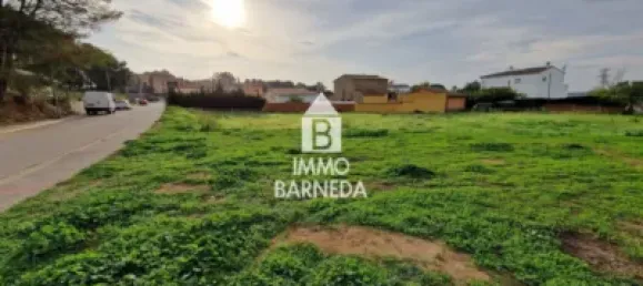  Land in Garriguella, Spain No. 73548 8