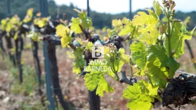  Land in Garriguella, Spain No. 73548