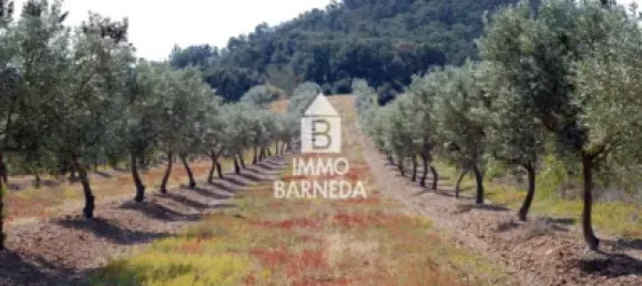  Land in Garriguella, Spain No. 73548 2