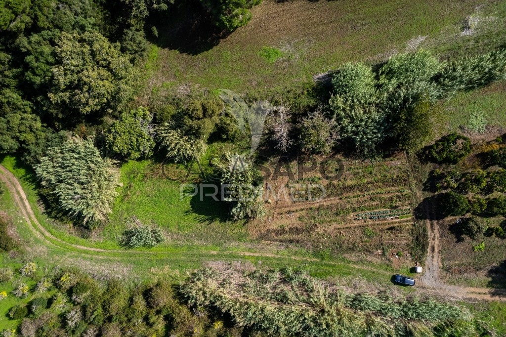  Land in Quarteira, Portugal No. 192784