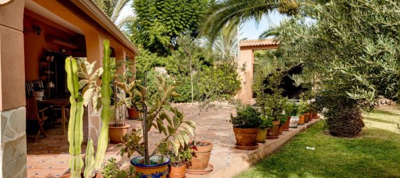 4 غرف نوم فيلا في Torrevieja, Spain رقم 135249 18