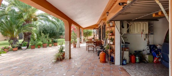 4 غرف نوم فيلا في Torrevieja, Spain رقم 135249 22