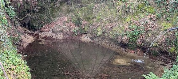 Дом с 1 спальней в Селорику ди Башту, Португалия № 37405 9